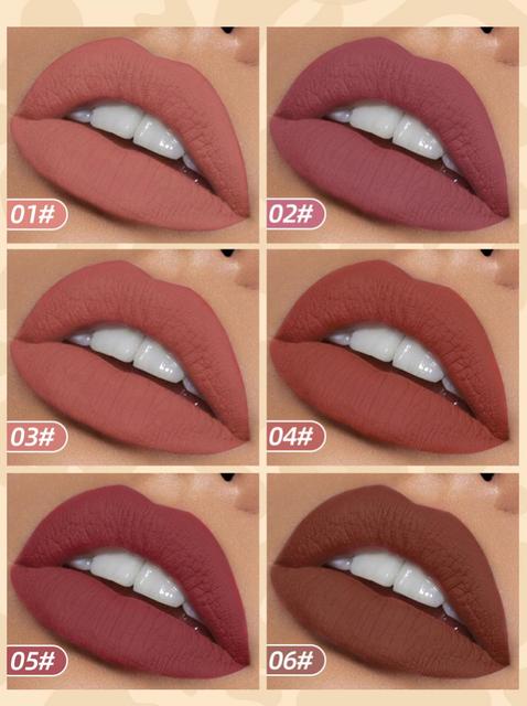 6pcs/Set Velvet Matte Lip Gloss