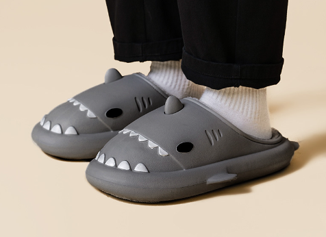 Cozy Shark Slides