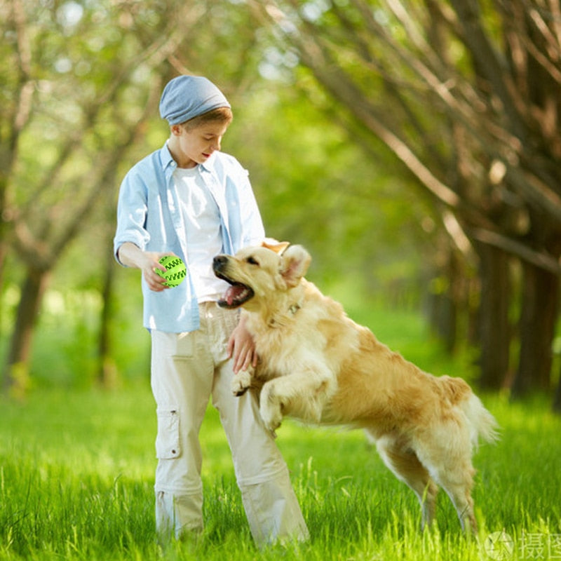 Interaktives Hundespielzeug aus Gummi