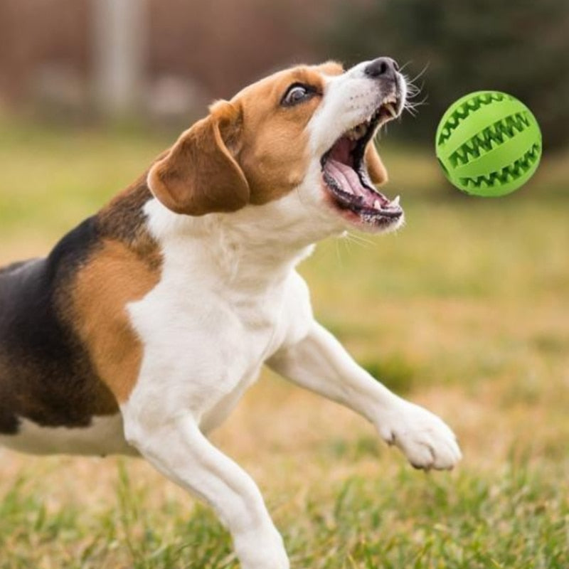 Interaktives Hundespielzeug aus Gummi